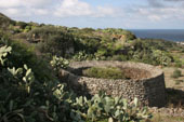 giardino circolare di agrumi